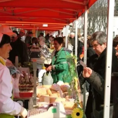 Paradise 5 Terre Blue 公寓